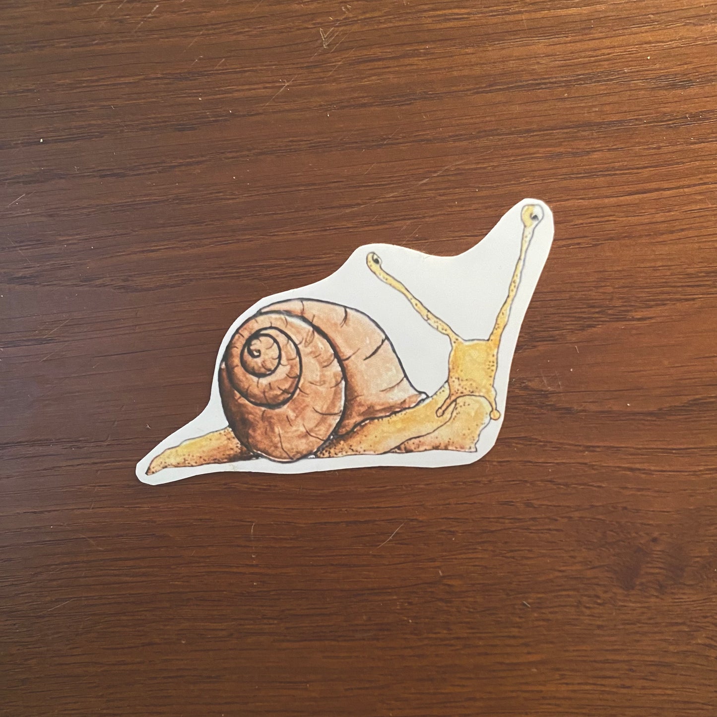 Sticker Schnecke
