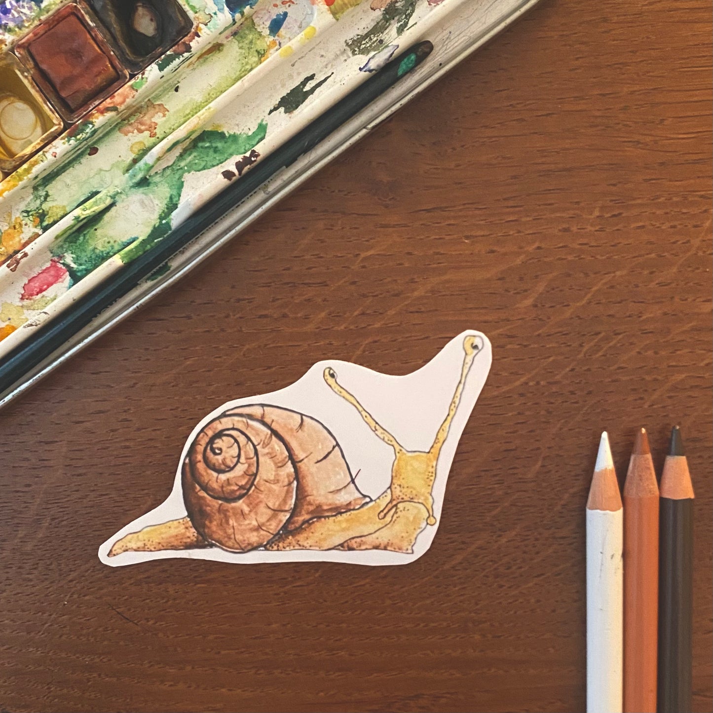 Sticker Schnecke