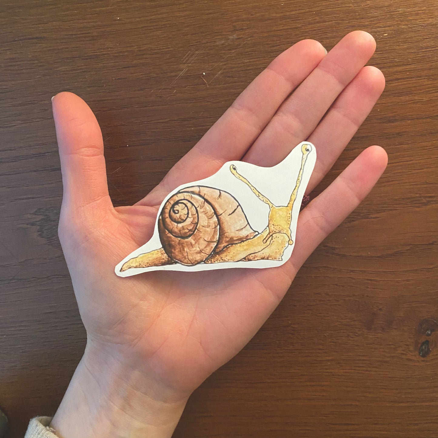 Sticker Schnecke